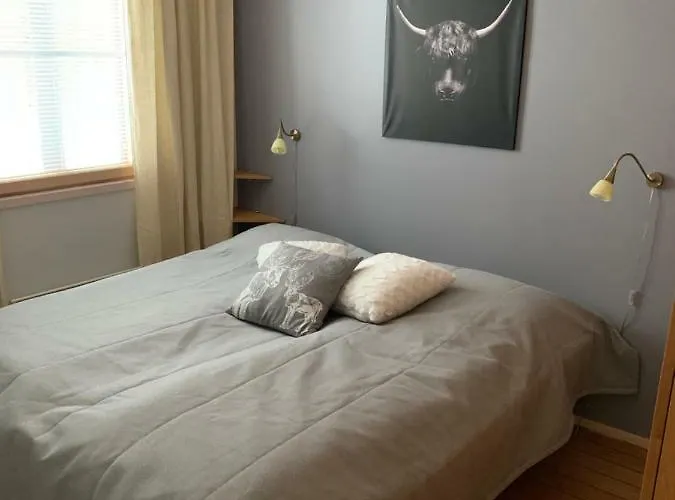 Vip Hutiputti B * Levi